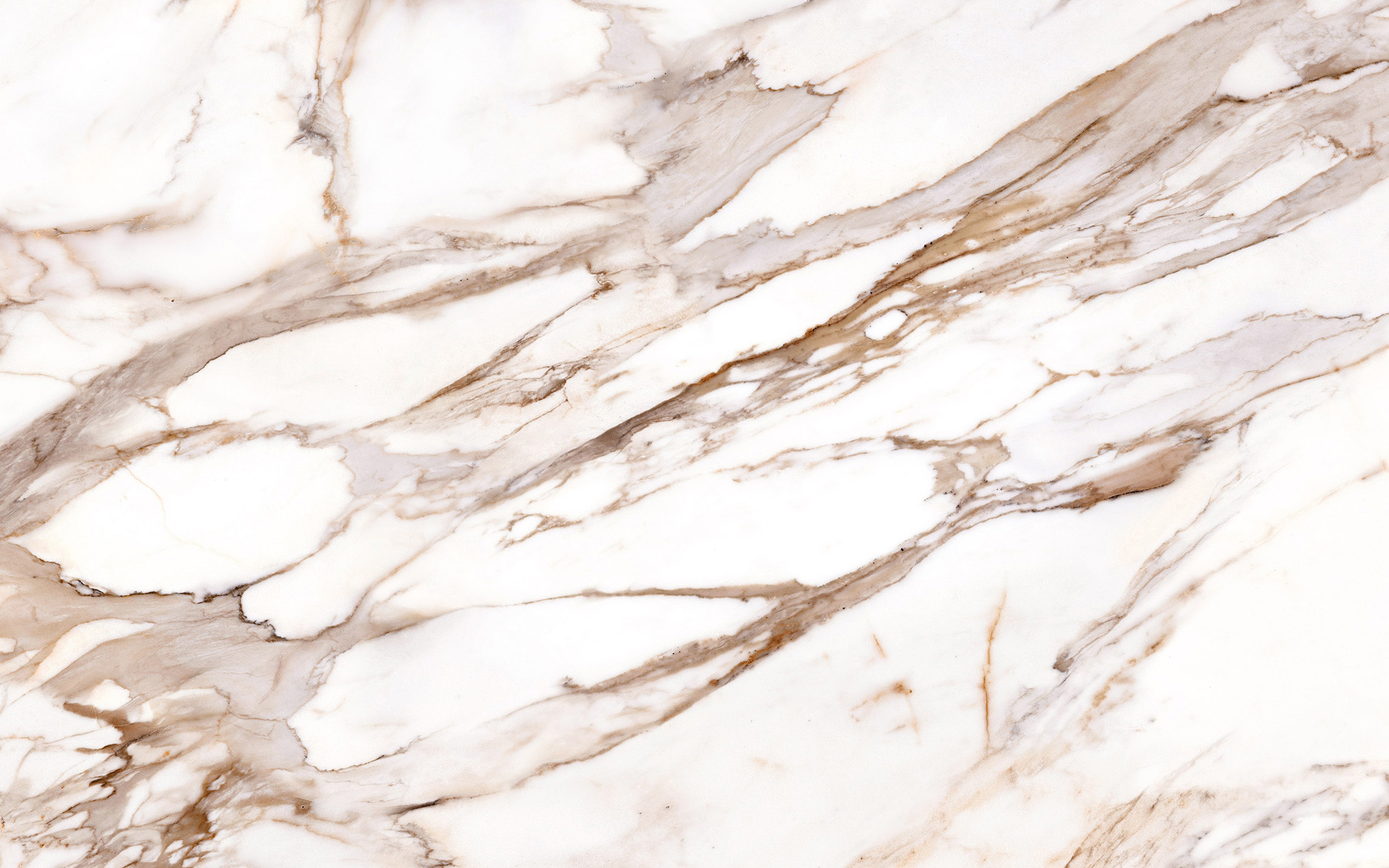 Calacatta Gold Quartz 016 Calacatta Gold Quartz 016